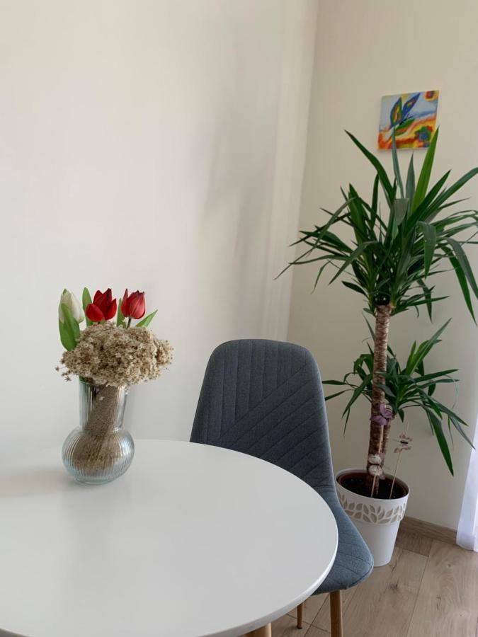 Vilagos, Kellemes Lakas, Jo Koezlekedessel بودابست المظهر الخارجي الصورة